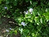  ( - MP1200.1)  @11 [ ] Copyright (2013) PHCDBS Paul Hebert Centre for DNA Barcoding and Biodiversity Studies