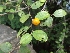  ( - MP1221)  @11 [ ] Copyright (2013) PHCDBS Paul Hebert Centre for DNA Barcoding and Biodiversity Studies