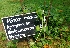  ( - MP5482)  @11 [ ] Copyright (2015) G D Khedkar Paul Hebert Centre For DNA Barcoding And Biodiversity Studies