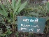  ( - MP1398)  @11 [ ] Copyright (2013) PHCDBS Paul Hebert Centre for DNA Barcoding and Biodiversity Studies