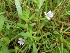  ( - LNP99)  @11 [ ] Copyright (2014) PHCDBS Paul Hebert Centre fo DNA Barcoding And Biodiversity Studise