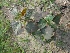  ( - MP1420)  @11 [ ] Copyright (2013) PHCDBS Paul Hebert Centre for DNA Barcoding and Biodiversity Studies
