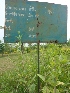  ( - MP1419)  @11 [ ] Copyright (2013) PHCDBS Paul Hebert Centre for DNA Barcoding and Biodiversity Studies