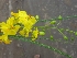  ( - LNP58)  @11 [ ] Copyright (2013) PHCDBS Paul Hebert Center for DNA Barcoding and Biodiversity Studies