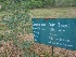  ( - MP1465)  @11 [ ] Copyright (2013) PHCDBS Paul Hebert Centre for DNA Barcoding and Biodiversity Studies