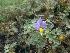  ( - WNP168)  @11 [ ] Copyright (2013) PHCDBS Paul Hebert Center for DNA Barcoding and Biodiversity Studies