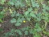  ( - CNP160)  @11 [ ] Copyright (2014) PHCDBS Paul Hebert Centre for DNA Barcoding And Biodiversity Studies