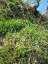  ( - MP1548)  @11 [ ] Copyright (2013) PHCDBS Paul Hebert Centre for DNA Barcoding and Biodiversity Studies