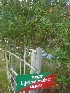  ( - MP1712)  @11 [ ] Copyright (2013) PHCDBS Paul Hebert Centre for DNA Barcoding and Biodiversity Studies