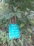  ( - MP1717)  @11 [ ] Copyright (2014) PHCDBS Paul Hebert Centre for DNA Barcoding and Biodiversity Studies