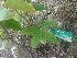  ( - MP1722.1)  @11 [ ] Copyright (2013) PHCDBS Paul Hebert Centre for DNA Barcoding and Biodiversity Studies