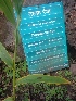  ( - MP1803)  @11 [ ] Copyright (2013) PHCDBS Paul Hebert Centre for DNA Barcoding and Biodiversity Studies