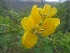  ( - MP1822)  @11 [ ] Copyright (2014) PHCDBS Paul Hebert Centre For DNA Barcoding And Biodiversity Studies