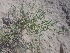  ( - MP1858)  @11 [ ] Copyright (2014) PHCDBS Paul Hebert Centre For DNA Barcoding And Biodiversity Studies