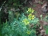  ( - MP2007)  @11 [ ] Copyright (2014) PHCDBS Paul Hebert Centre For DNA Barcoding And Biodiversity Studies