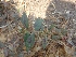  ( - MP2054)  @11 [ ] Copyright (2014) G.D. Khedkar Paul Hebert Centre For DNA Barcoding And Biodiversity Studies
