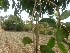  ( - MP2070)  @11 [ ] Copyright (2014) G.D. Khedkar Paul Hebert Centre For DNA Barcoding And Biodiversity Studies