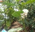  ( - MP2255)  @11 [ ] Copyright (2014) PHCDB Paul Hebert Centre For DNA Barcoding And Biodiversity Studies