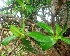  ( - MP3182)  @11 [ ] Copyright (2014) PHCDBS Paul Hebert Centre For DNA Barcoding And Biodiversity Studies