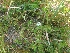  ( - MP2574)  @11 [ ] Copyright (2017) Dr. G. D. Khedkar Paul Hebert Centre For DNA Barcoding And Biodiversity Studies