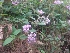  ( - MP4151)  @11 [ ] Copyright (2015) PHCDBS Paul Hebert Centre For DNA Barcoding And Biodiversity Studies