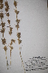  ( - DGC012)  @11 [ ] CreativeCommons - Attribution (2014) Aisha Tahir Centre for Biodiversity Genomics