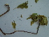  ( - Quet555)  @11 [ ] CreativeCommons - Attribution Non-Commercial Share-Alike (2015) Unspecified University of Agriculture Faisalabad-Pakistan