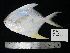  ( - SP-72-1)  @11 [ ] CreativeCommons  Attribution Share-Alike (2019) Unspecified Universiti Sains Malaysia