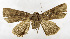  ( - ZZU.SRS19)  @11 [ ] CreativeCommons  Attribution Non-Commercial Share-Alike (2023) Unspecified University of Zhengzhou