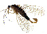 ( - NWAFU 3E5)  @14 [ ] CreativeCommons  Attribution Non-Commercial Share-Alike (2017) Unspecified Northwest A&F University
