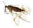  ( - NWAFU 3E6)  @14 [ ] CreativeCommons  Attribution Non-Commercial Share-Alike (2017) Unspecified Northwest A&F University