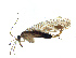  ( - NWAFU 3E8)  @14 [ ] CreativeCommons  Attribution Non-Commercial Share-Alike (2017) Unspecified Northwest A&F University