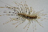  ( - AND11)  @13 [ ] Copyright (2013) Dinesh Nalage Paul Hebert Center for DNA Barcoding and Biodiversity Studies