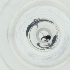  (Smittia sp. 21ES - DCTC_007_C8)  @11 [ ] by  Genome Research Ltd as Wellcome Sanger Institute Genome Research Limited operating as Wellcome Sanger Institute