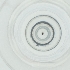  ( - DCTC_011_E6)  @11 [ ] by  Genome Research Ltd as Wellcome Sanger Institute Genome Research Limited operating as Wellcome Sanger Institute