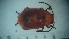  ( - DCVS-009)  @12 [ ] Copyright (2013) Unspecified Unspecified