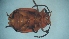  ( - DCVS-009)  @12 [ ] Copyright (2013) Unspecified Unspecified