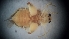  ( - DCVS-120)  @12 [ ] Copyright (2013) Unspecified Unspecified