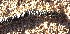  ( - JCB.0186)  @11 [ ] c  Unspecified Unspecified