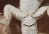  ( - FLI.0353)  @11 [ ] c  Unspecified Unspecified