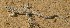  ( - FLI.0353)  @11 [ ] c  Unspecified Unspecified