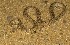  ( - FLI.0357)  @11 [ ] c  Unspecified Unspecified