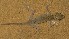  ( - FLI.0392)  @11 [ ] c  Unspecified Unspecified
