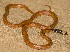  ( - FLI.0447)  @11 [ ] c  Unspecified Unspecified