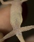  ( - FLI.0455)  @11 [ ] c  Unspecified Unspecified