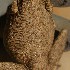  ( - FLI.0258)  @11 [ ] c  Unspecified Unspecified