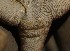  ( - FLI.0258)  @11 [ ] c  Unspecified Unspecified