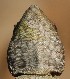  ( - FLI.0258)  @11 [ ] c  Unspecified Unspecified