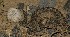  ( - FLI.0293)  @11 [ ] c  Unspecified Unspecified