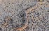  ( - FLI.0320)  @11 [ ] c  Unspecified Unspecified